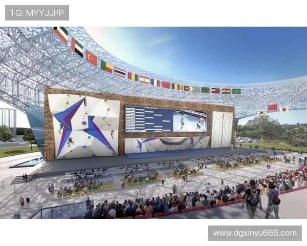 南京攀岩队创新阵地战术探索与实践的全景分析与展望