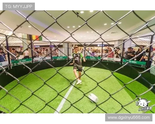 广州飞盘队的节奏分析与发展趋势探讨