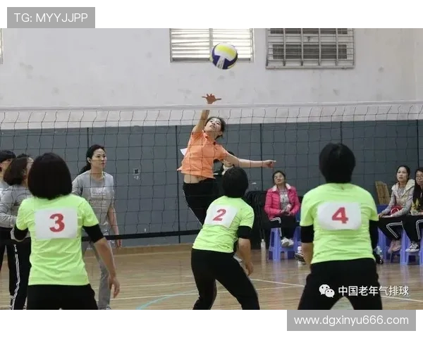 成都排球队耐力对比深度解析与训练策略探讨