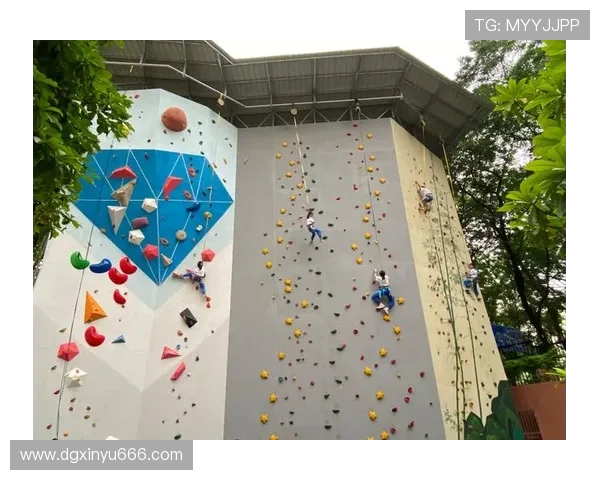 攀岩战术解析西安攀岩队防守体系的构建与应用探讨