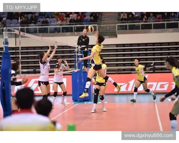 排球节奏排名：广州排球队创新高