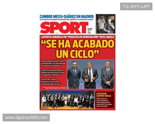 杭州排球队运营革新探索新模式助力体育发展与品牌提升