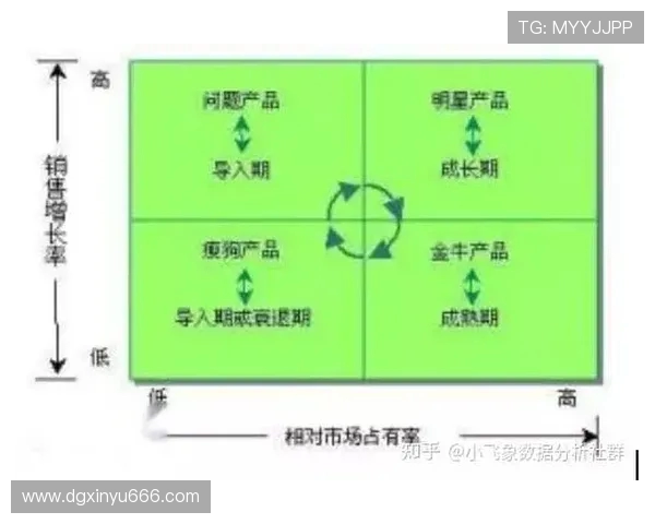 深圳排球队在杯赛中的团队协作表现分析与启示