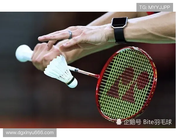 重庆羽毛球队的节奏揭秘：深度解析羽毛球运动的魅力与技巧