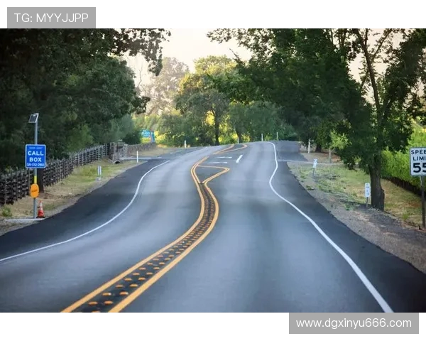 飓风来袭青年人如何应对自然灾害与生活挑战的智慧与勇气