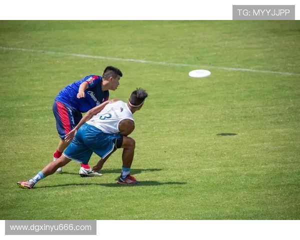 成都飞盘队个人能力引发热议球员表现与团队合作的争论