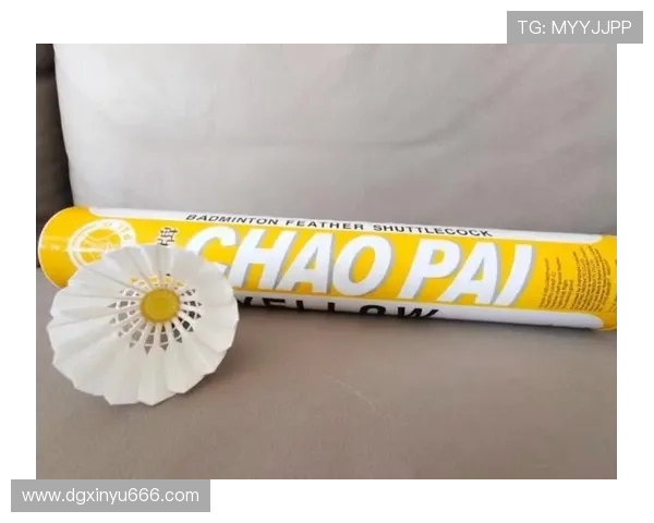 羽毛球新手必看：提升耐力的实用技巧与训练方法详解