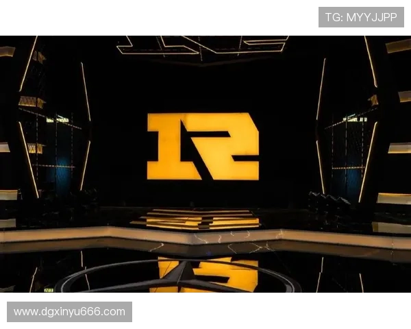 DOTA2战术解析：深入探讨RNG战队的进攻策略与团队协作