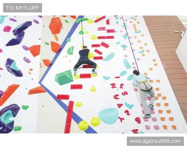 上海极限运动队在世界攀岩锦标赛中的技术表现分析与点评