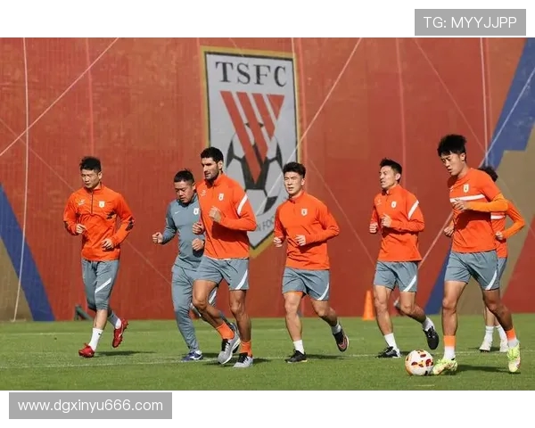 上海排球队心理素质探讨：如何在高压环境中保持竞技状态与团队凝聚力