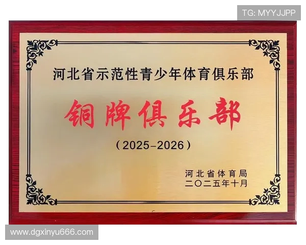 北京足球队近期表现分析与未来发展方向探讨