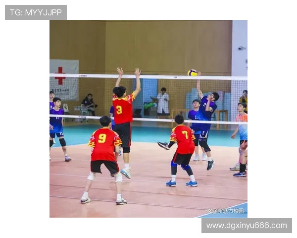 南京排球队的比赛经验揭秘:从训练到赛场的全景探索