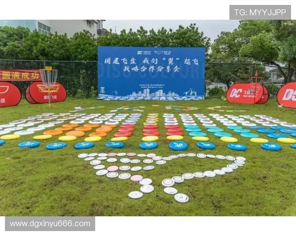 成都飞盘队的整体压制革新探索与实践全景解析