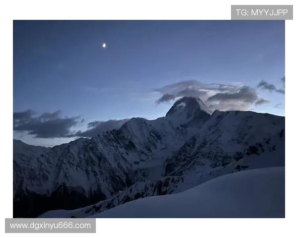 攀登人生的巅峰：杨丽与深度对话的探索之旅