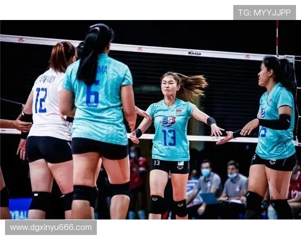 权威发布：2023年排球耐力实力榜单全面解析与排名揭晓